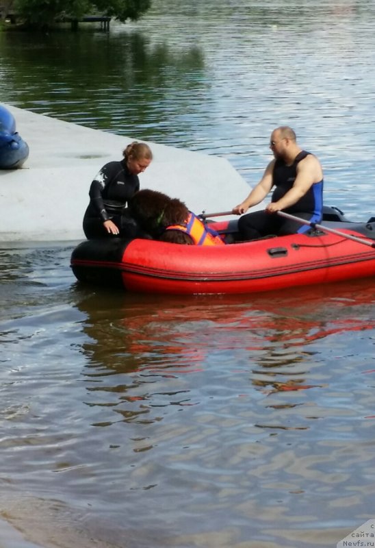 Фотография № 237047