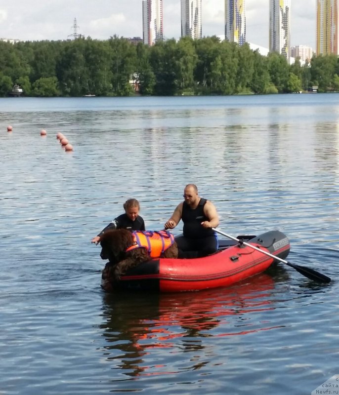 Фотография № 237048