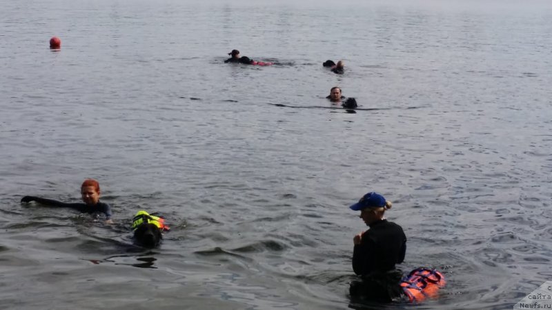 Фотография № 237050