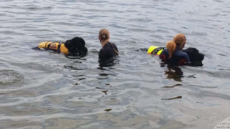 Фотография № 237052