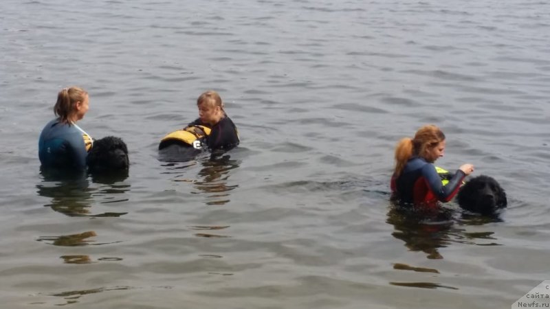 Фотография № 237054