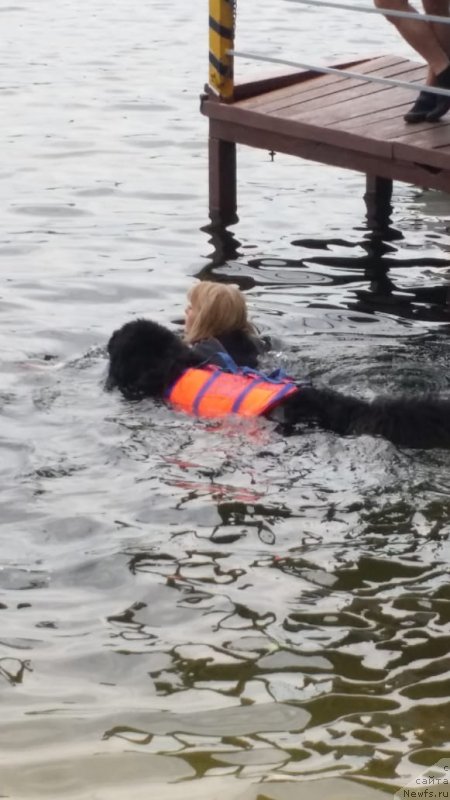 Фотография № 237057