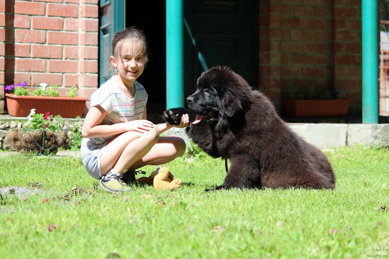 Фотография № 237065