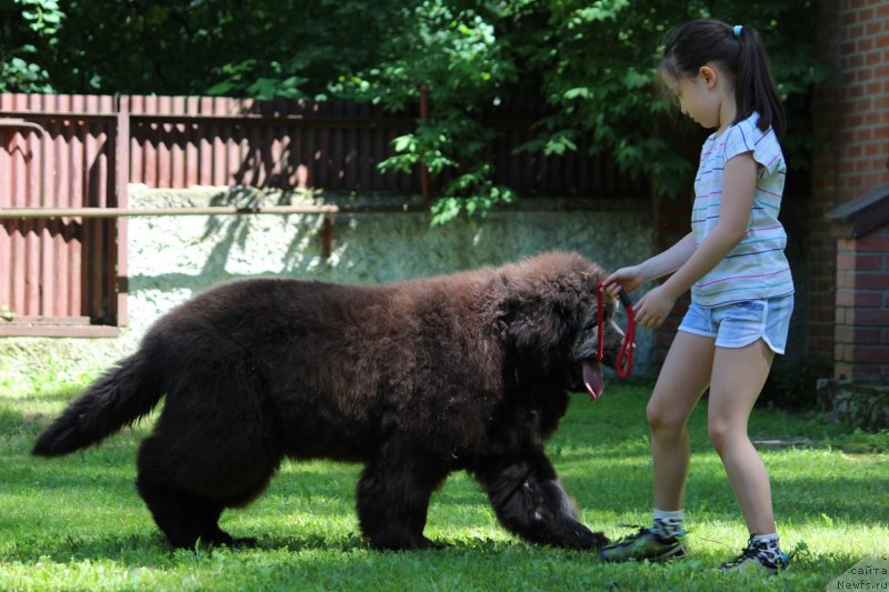 Фотография № 237069