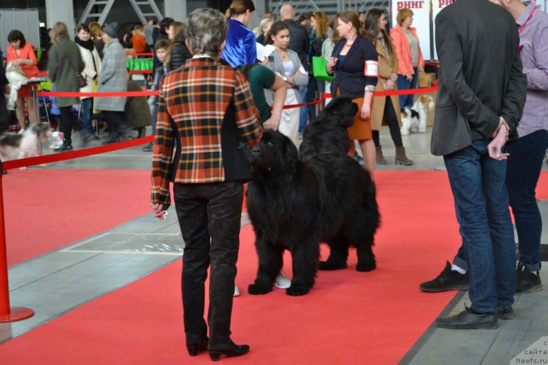 Фотография № 237087