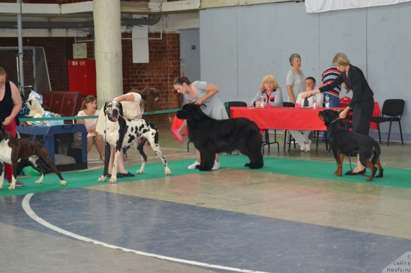 Фотография № 237088