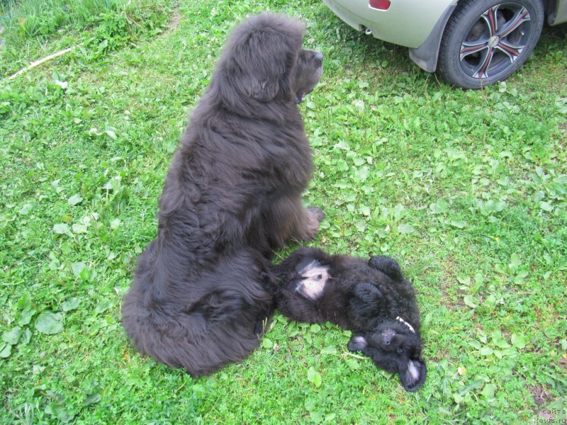 Фотография № 237091