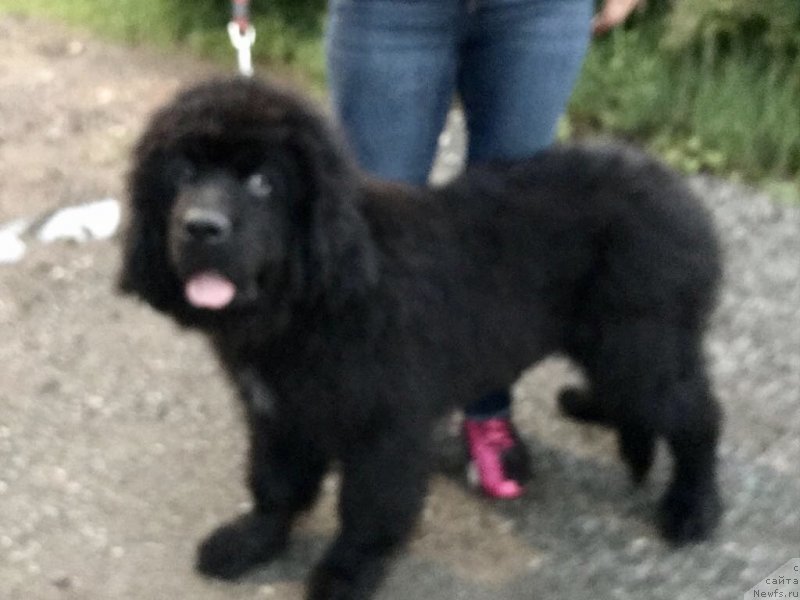 Фотография № 237127