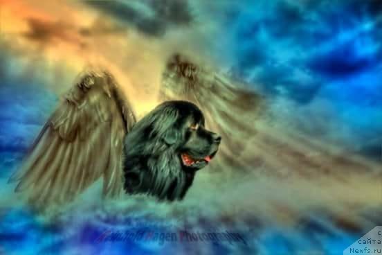 Фотография № 237165