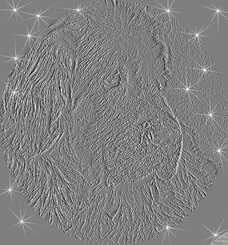 Фотография № 237166