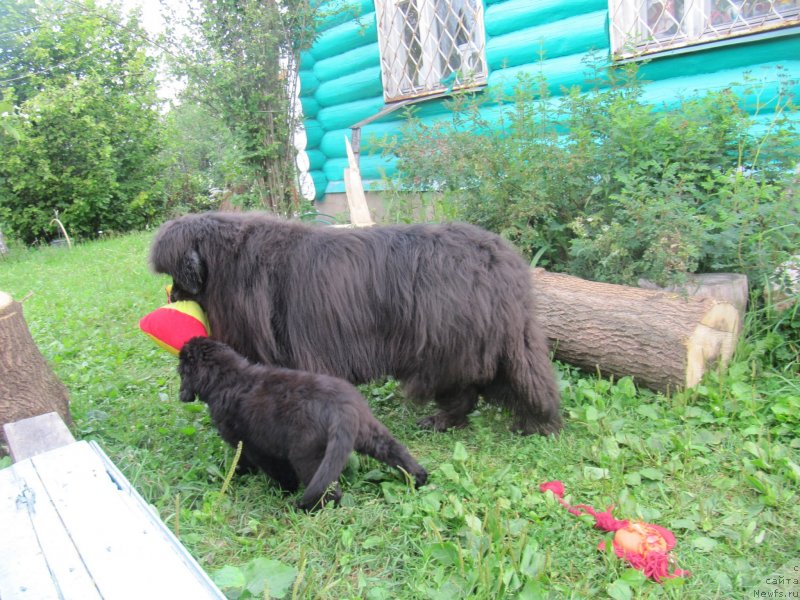 Фотография № 237195