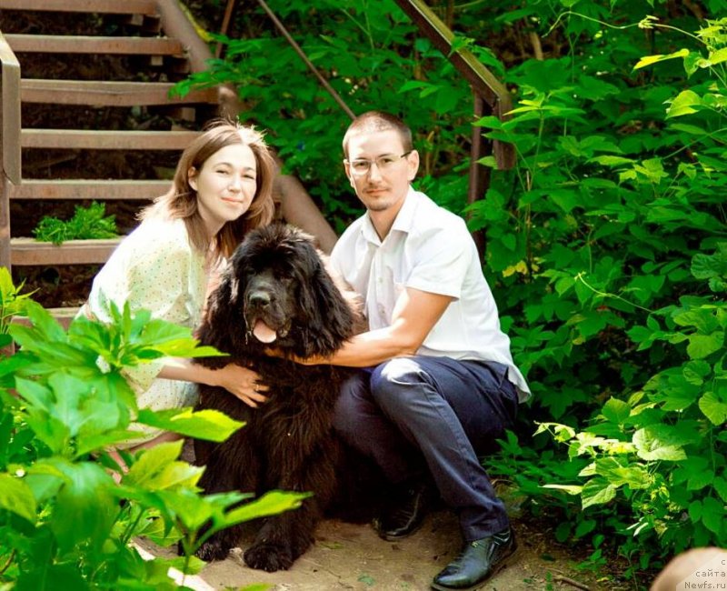 Фотография № 237211