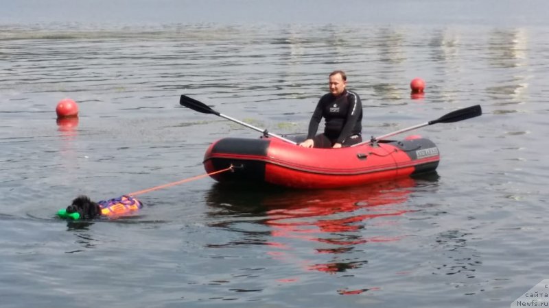 Фотография № 237221