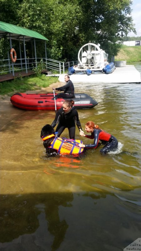 Фотография № 237222