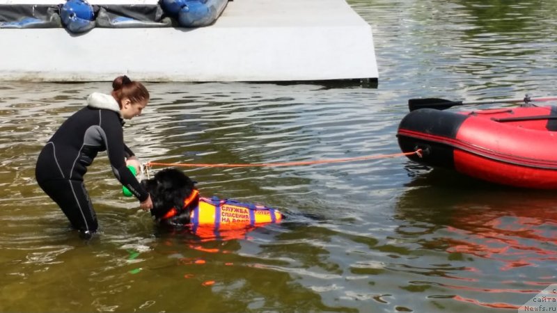 Фотография № 237226