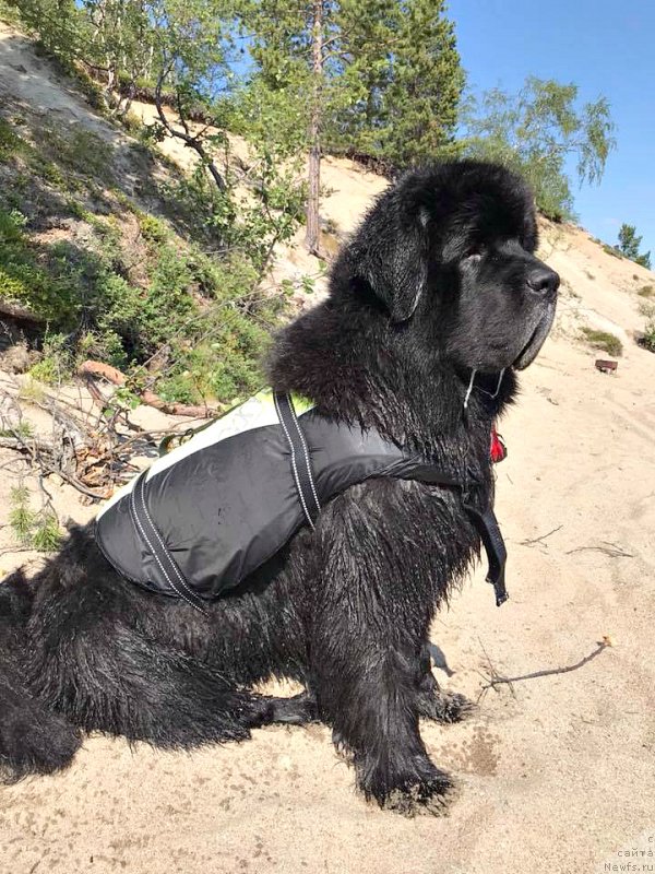 Фотография № 237236