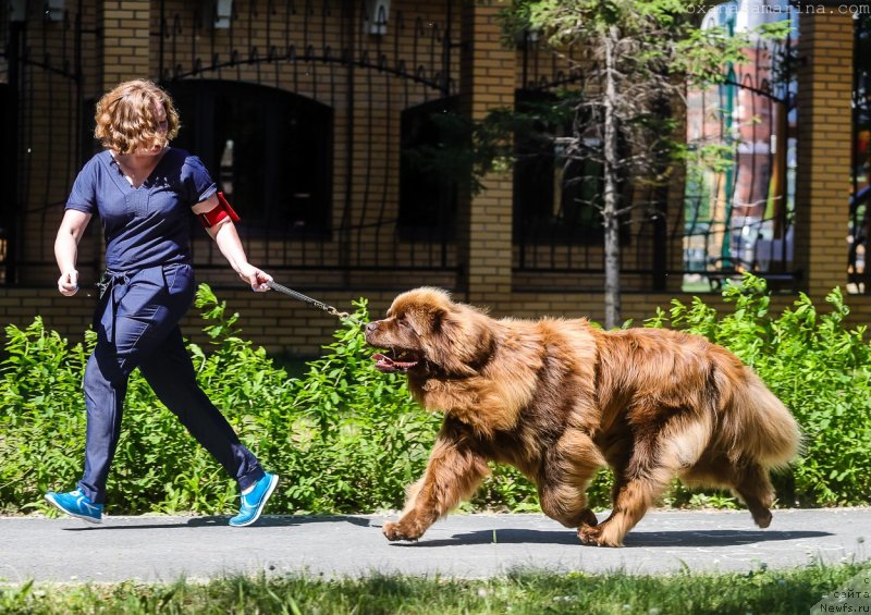 Фотография № 237288