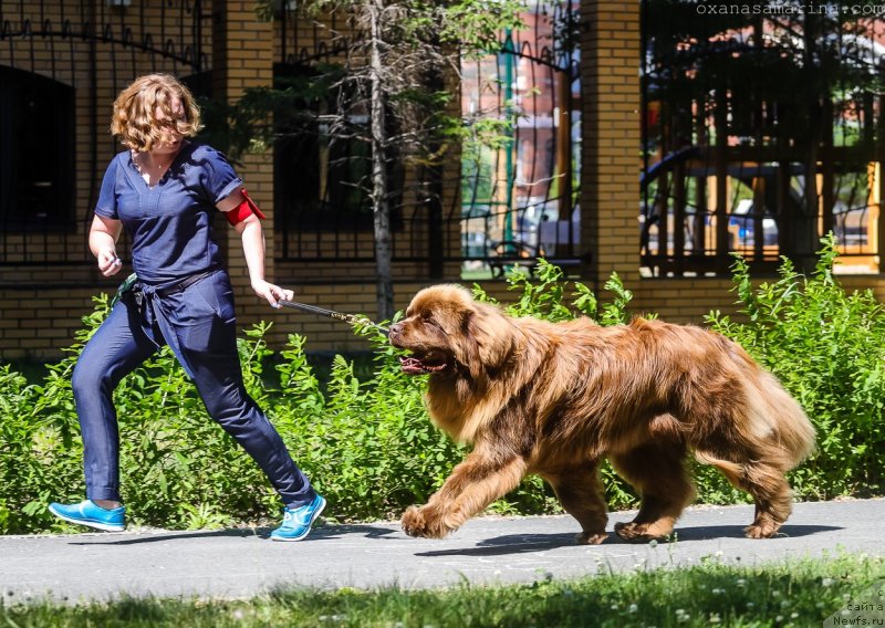 Фотография № 237289