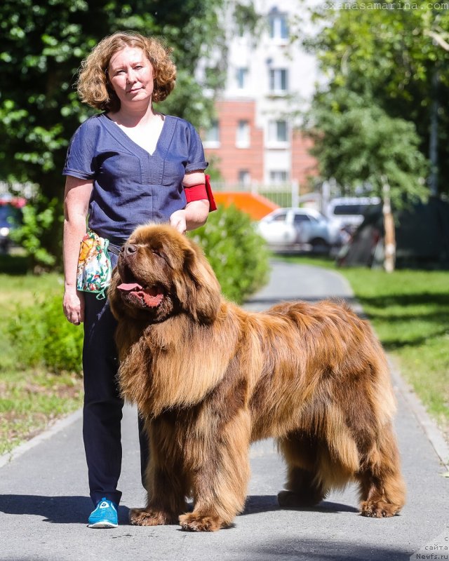 Фотография № 237290