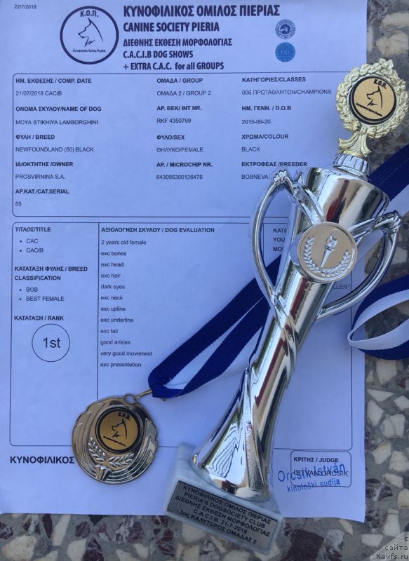 Фотография № 237306