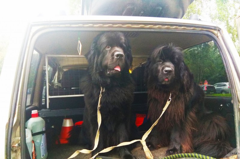 Фотография № 237317