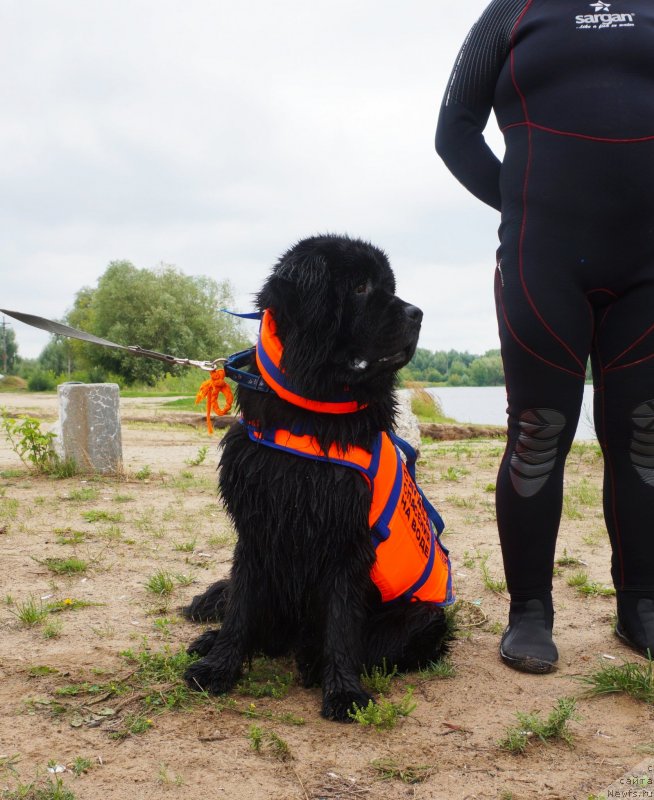 Фотография № 237319