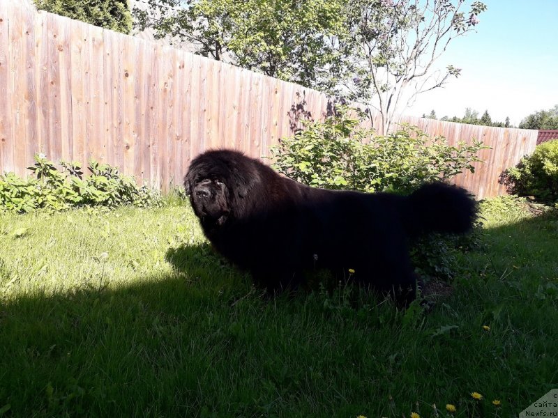 Фотография № 237327