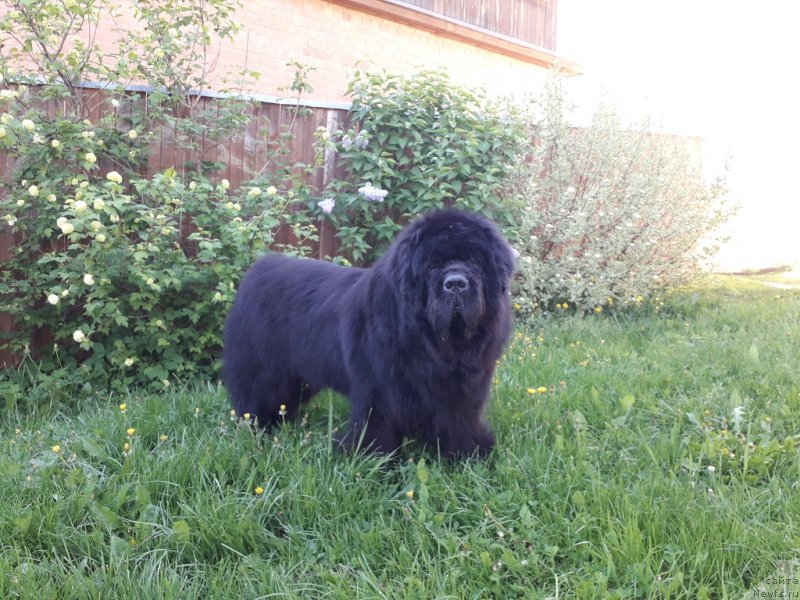 Фотография № 237328