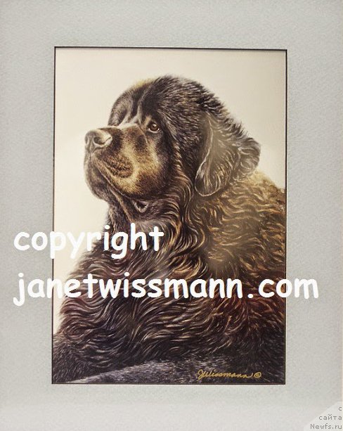 Фотография № 237366