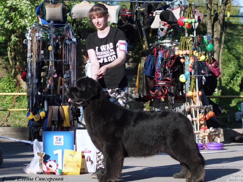 Фотография № 237371