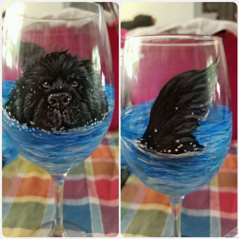 Фотография № 237384