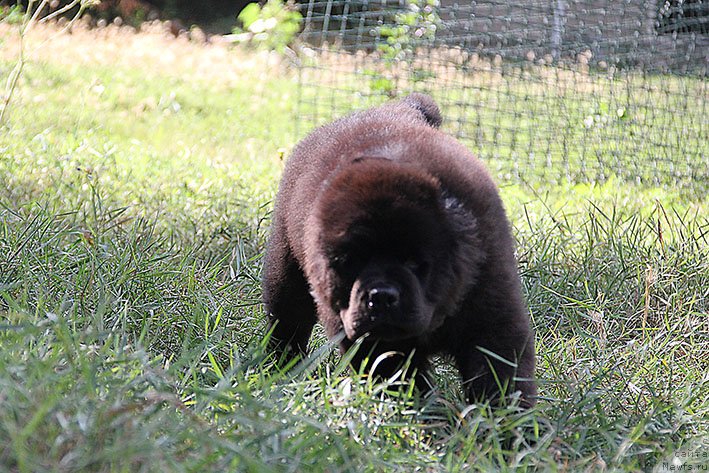 Фотография № 237409