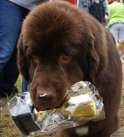 Фотография № 237415