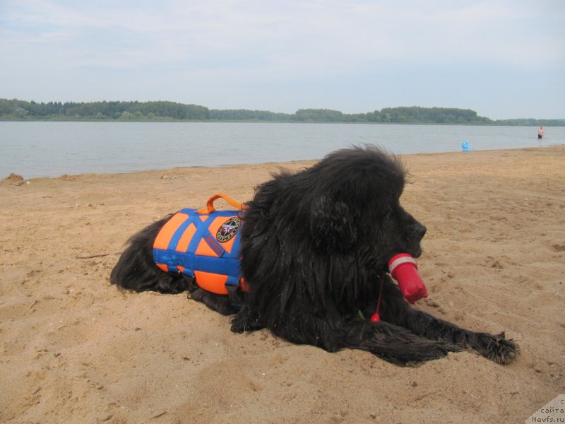 Фотография № 237434