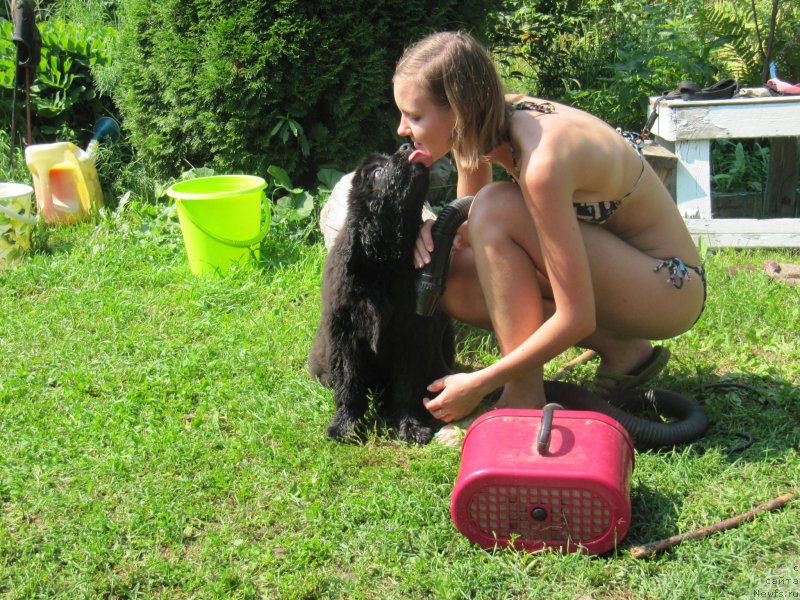 Фотография № 237435