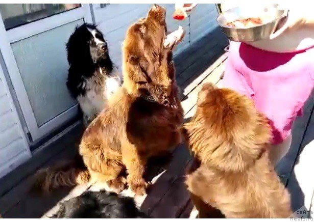 Фотография № 237470