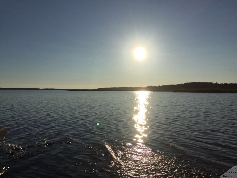 Фотография № 237471