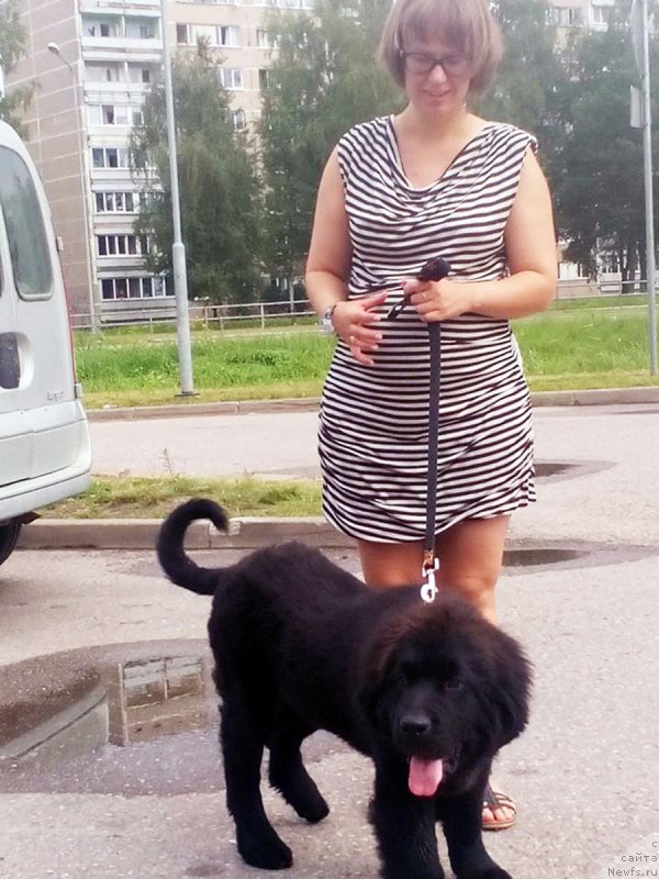 Фотография № 237477