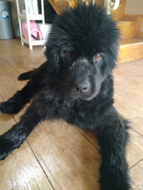 Фотография № 237481