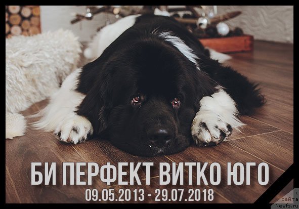 Фотография № 237491