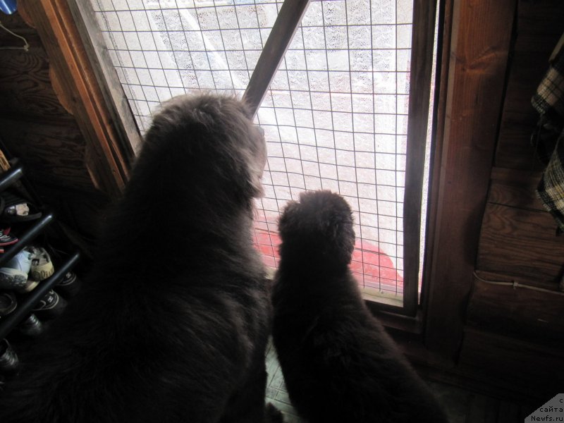 Фотография № 237503