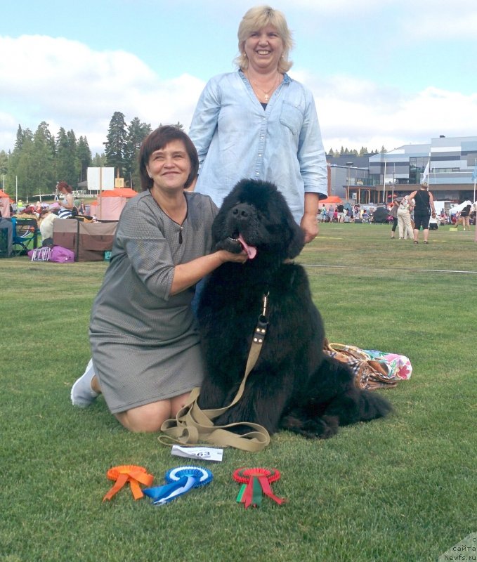 Фото: Ольга Грошева, ньюфаундленд Smigar Agday Virtus (Смигар Агдай Виртус), Ольга Зурахова