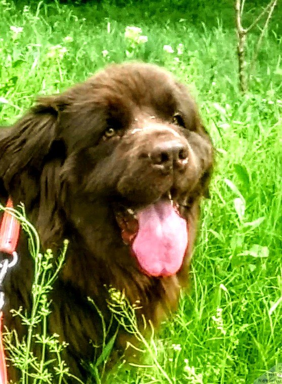 Фотография № 237520