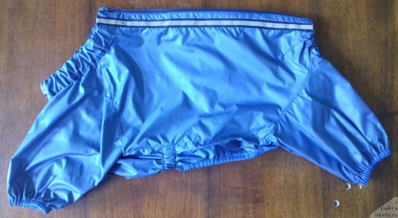 Фотография № 237526