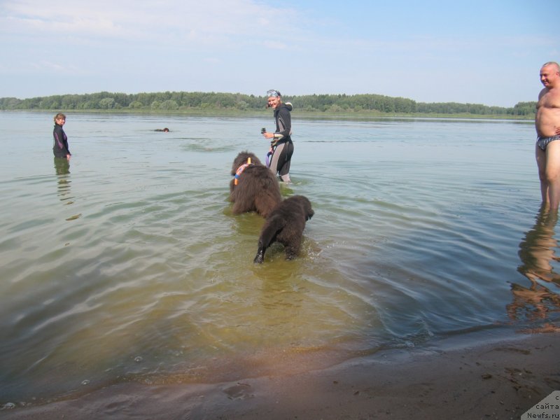 Фотография № 237548