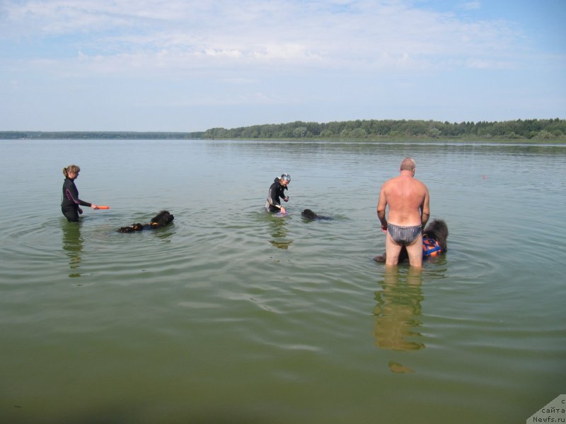 Фотография № 237549