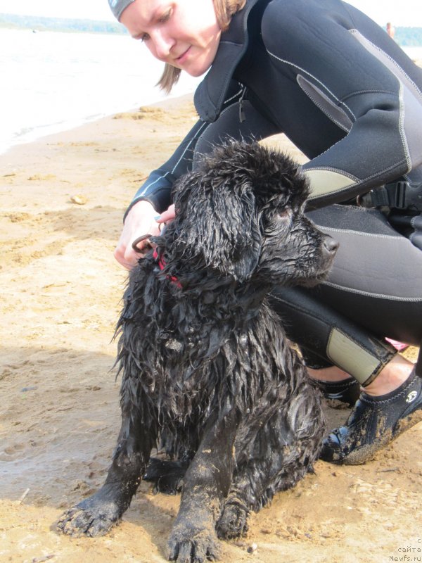 Фотография № 237556