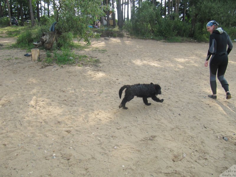 Фотография № 237557