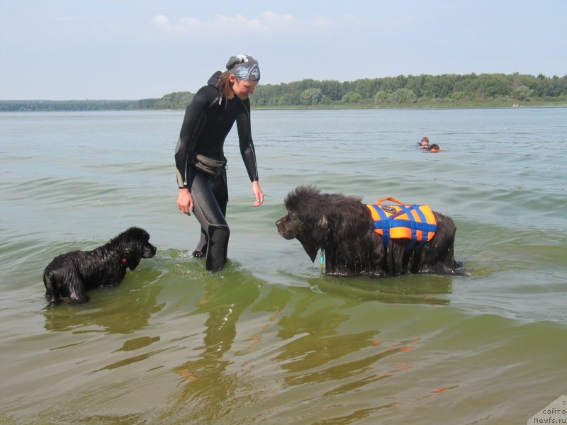 Фотография № 237560