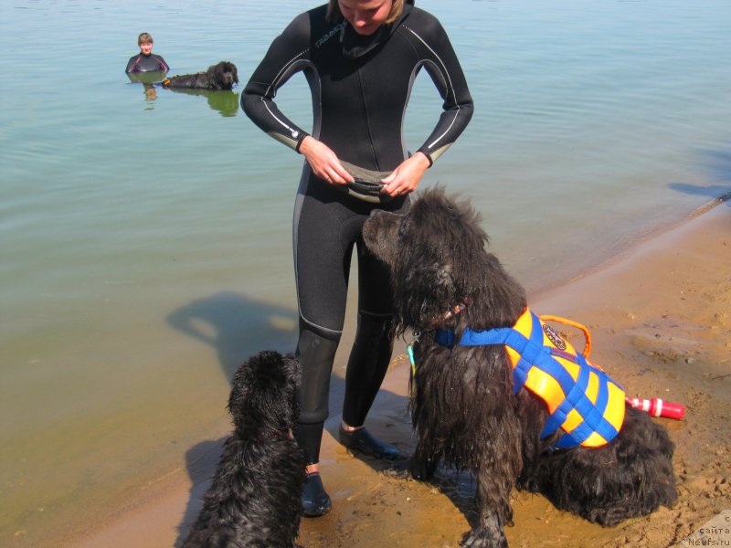 Фотография № 237561